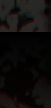 Captura de pantalla 2026-04-05 171140.png